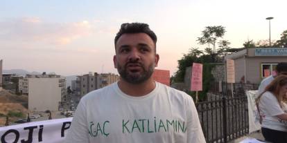 Şırnak'ta orman tahribatına tepki: "Sessiz bir çöküşün içindeyiz"