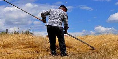 Tarım Sayımı Başladı! Şırnaklı Çiftçilere Önemli Çağrı