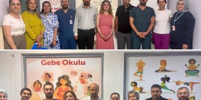 İdil’deki Gebe Okulu yerinde incelendi
