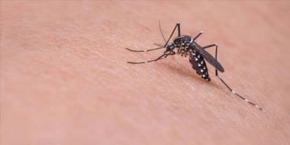 Virüs ve Salgınların eksik olmadığı Çin'de 7 bin kişide "chikungunya" virüsü tespit edildi