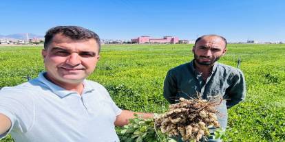 CHP’li Soysal: Yer Fıstığında 117 TL’lik Fiyat Farkı Çiftçiyi Bitiriyor