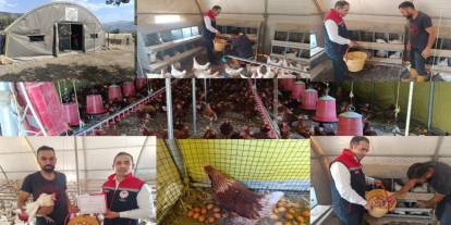 Şırnaklı Çiftçi Organik Yumurtada Bölgeye Örnek Oldu