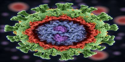 Chikungunya Virüsü Nasıl Bulaşır, Belirtileri Nelerdir?