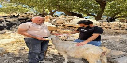Devlet Desteğiyle Kendi İşini Kurdu: Şırnaklı Tahir Keskin’in Başarı Hikayesi