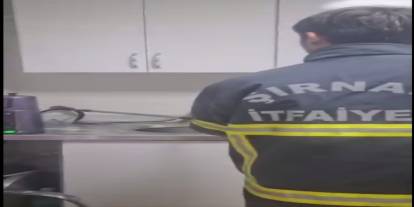 Şırnak’ta korku dolu anlar: 1 metrelik yılan iş yerine girdi