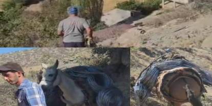 (VİDEOLU) Uludere’de Güvenlik İçin Büyük Mücadele: Katırlarla Malzeme Taşınıyor