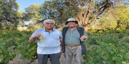 Bu Toprakların Sırrı: O Üzümlerle Dünya Lezzeti