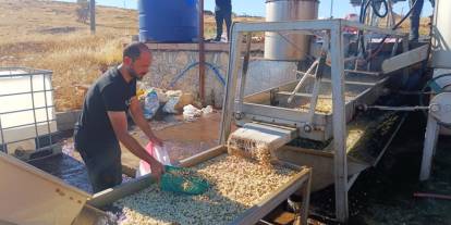Siirt fıstığı işleme çalışmaları sürüyor