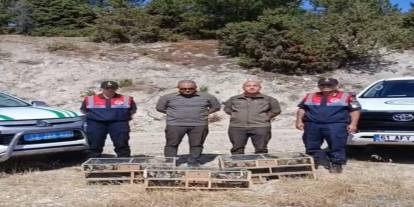 Ekipler Harekete Geçti: Kuş Avcılarına Baskın Düzenlendi