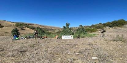 Jandarma’dan Şırnak’ta 11 milyon kaçakçılık engeli