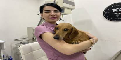 Hayvan Dostlarınız İçin Kış Tedbirlerini Alın