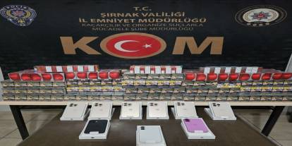 Şırnak’ta kaçakçılık operasyonu : 1 gözaltı