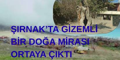 Şırnak’ta Gizemli Bir Doğa Mirası Ortaya Çıktı