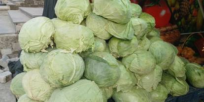 Muş lahanaları tezgahlarda yerini aldı