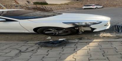 Akılalmaz Olay: Başıboş Köpekler Otomobili Parçaladı, 108 Bin TL Hasar!