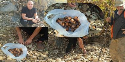 Şırnaklılar bu kış meyvesiyle sağlıklı kalıyor