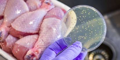 Şırnak dahil 81 ile peş peşe Gıda zehirlenmesi uyarısı