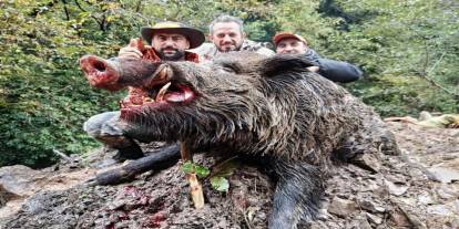 Trabzon'da sürek avında 300 kg'lık domuz fişeklerin hedefi oldu