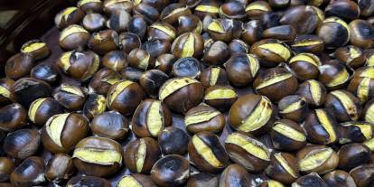 Coğrafi İşaretli Kuzu Kestanesi Pazarda: Lezzetiyle Yoğun İlgi Görüyor!