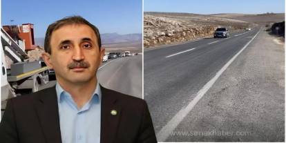 İdil-Şerafettin Elçi Havalimanı Yol Güvenliği Gündeme Taşındı