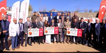 İdil’de 107 ton kırmızı mercimek tohumu dağıtıldı