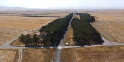 Bozkırın Ortasındaki Yeşil İnci: Benliahmet İstasyonu Sonbahar Şölenine Dönüştü