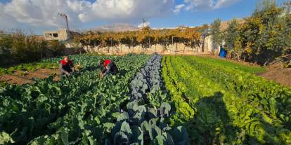 Şırnak’ta Fide Desteği İçin Geri Sayım: Son Gün 27 Mart