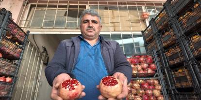 Şırnak’ın Yoğun Talep Gösterdiği Zivzik Narında Verim Alarmı
