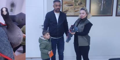 Sakarmeke Kuşu İçin Harekete Geçildi: Tedavi Süreci Başladı