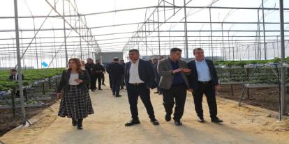 Şırnak’ın Tarım Umudu Mersin’de Gündem Oldu