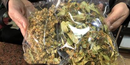 Kış Aylarının vazgeçilmezi Ihlamur, değerine değer kattı