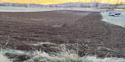 Arpalar kar yağmadan toprakla buluşuyor