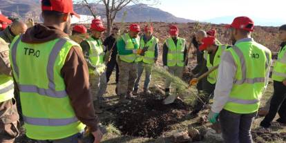 Gabar’da Enerji ve Doğa Ele Ele: 100 Bin Fidan Toprakla Buluşuyor!