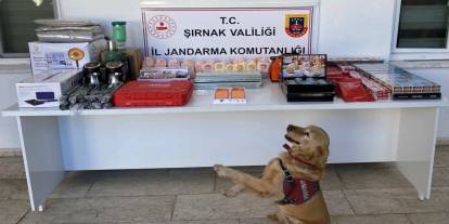 Şırnak'ta Jandarma Operasyonu: 10 Milyon Lira Değerinde Kaçak Mal Ele Geçirildi