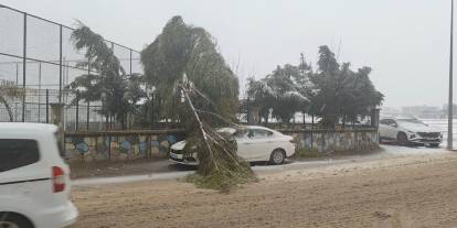 Silopi'de kar nedeniyle kırılan ağaç otomobilin üzerine düştü