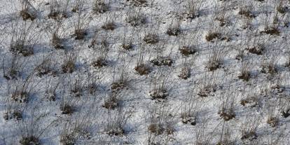 Kar yağışı, fındık ve diğer tarım ürünlerine yaradı