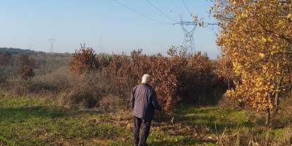Yargıtay'dan kamulaştırma davasında emsal karar