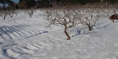 Uzun aradan sonra yağan Kar çiftçinin yüzünü güldürdü