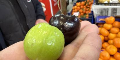 Aşerenler için Singapur'dan Özel Meyve!