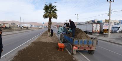 Cizre’de Tankerle Sulama Devri Kapandı: Orta Refüjlere Modern Dokunuş