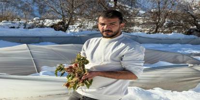 Derecik'te kardan dolayı 38 sera zara gördü