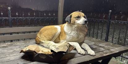 Haber Nöbetinde Isıtan Kareler! Düzceli Gazeteciler Bu Kez Onların Sesi Oldu