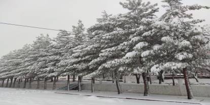 Sason’da Hayat Durdu! Tüm Yollar Kapandı, Kar Temizleme Seferberliği Başladı