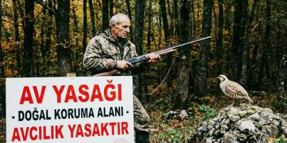 Şırnak’ta Keklik ve Yaban Tavşanı Avı Yasaklandı