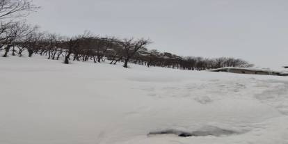 AFAD Uyardı: Şırnak’ta Çığ Tehlikesi