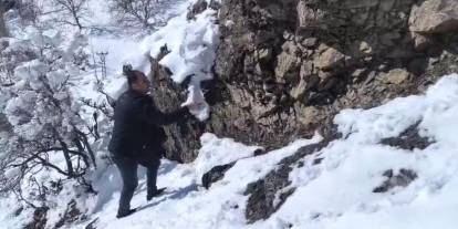 Şırnak'ta Kar nedeni ile yem bulamayan Keklikler için doğaya yem bıraktılar