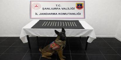 Harran'da uyuşturucu operasyonu: 2 gözaltı