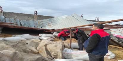 Şırnak’ta Olumsuz Hava Şartları Büyükbaş Çiftliğinde Hasara Neden Oldu