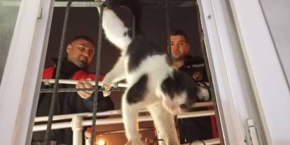 Cizre’de Talihsiz Kedi için İtfaiye Seferber Oldu!