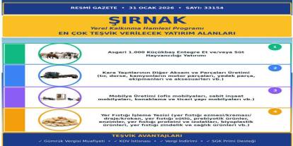 Resmi Gazete’de Yayımlandı: Şırnak’a 4 Stratejik Yatırım Alanında Büyük Teşvik